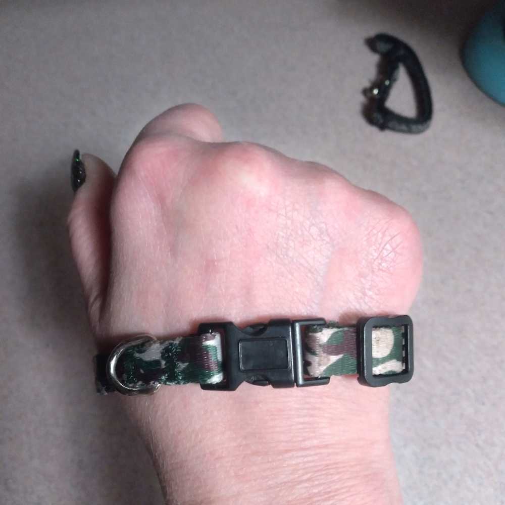 Cat/Dog collar